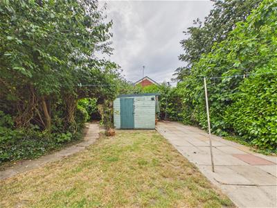 Picture 41